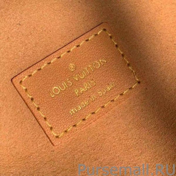 Since 1854 Vanity PM Bag M57403 - Image 6