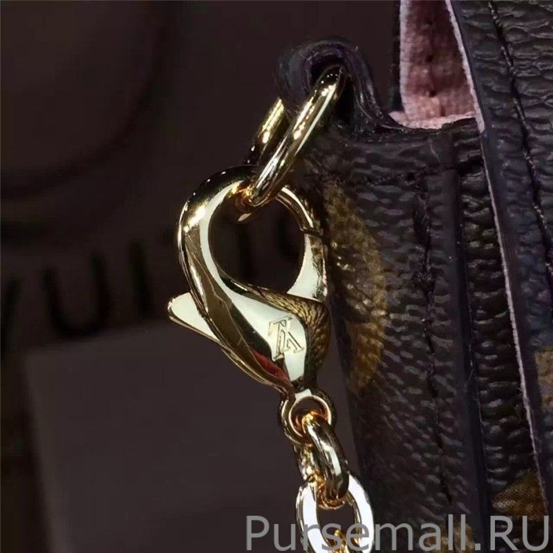 Monogram Canvas Pochette Felicie M62145 - Image 8