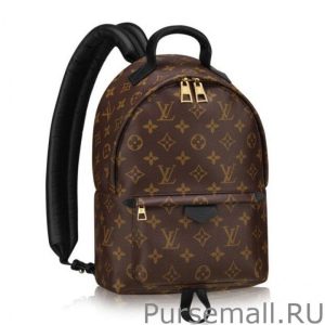 Palm Springs Backpack PM M41560