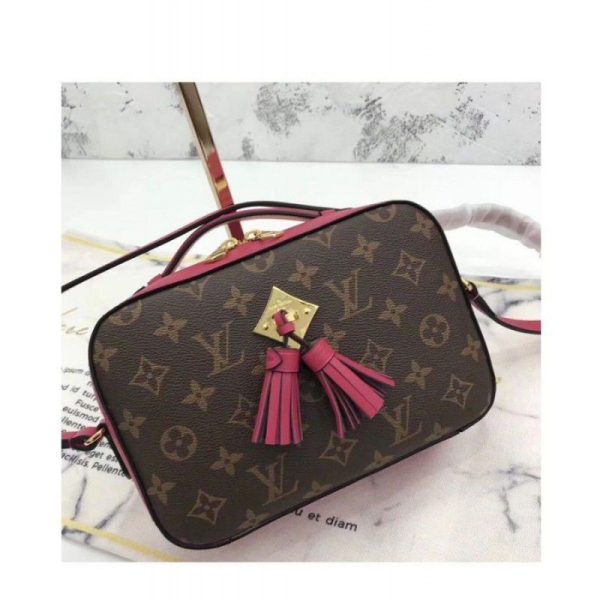 Saintonge Bag M43557 Red - Image 3