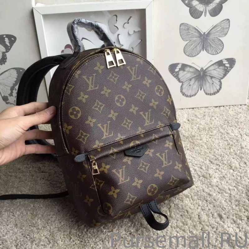 Palm Springs Backpack PM M41560 - Image 3