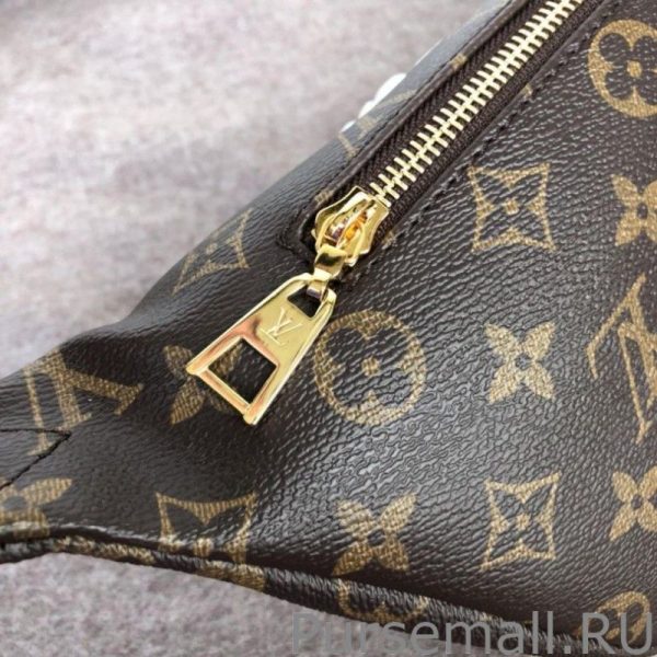 Bumbag Belt Bag Monogram Canvas M43644 - Image 5