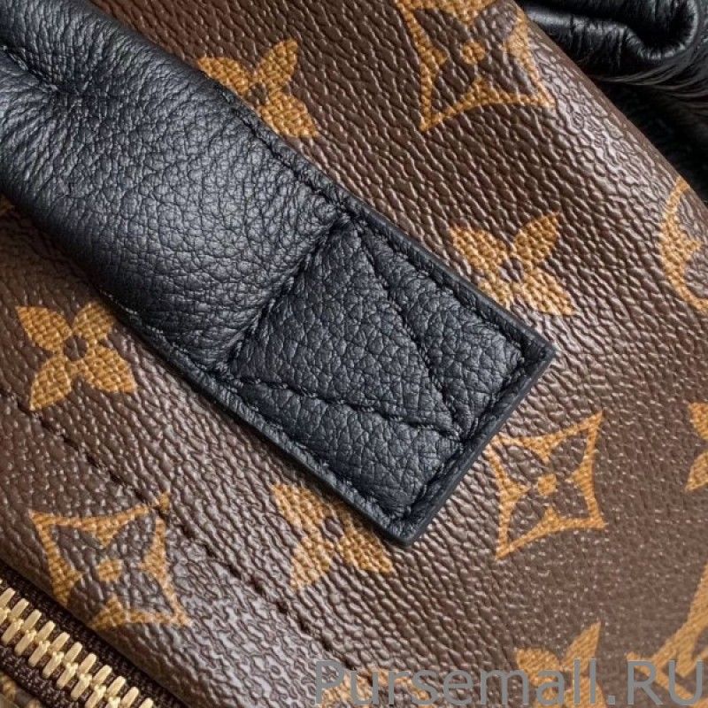 Palm Springs PM Backpack Monogram Canvas M44870 - Image 6