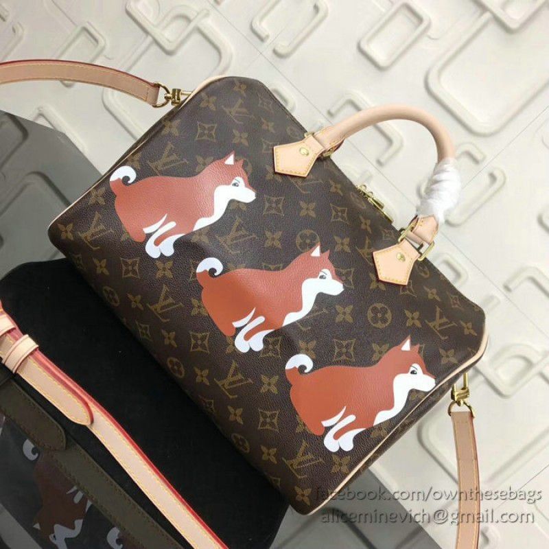 Dog Print Speedy Bandouliere 30 M41112 - Image 8