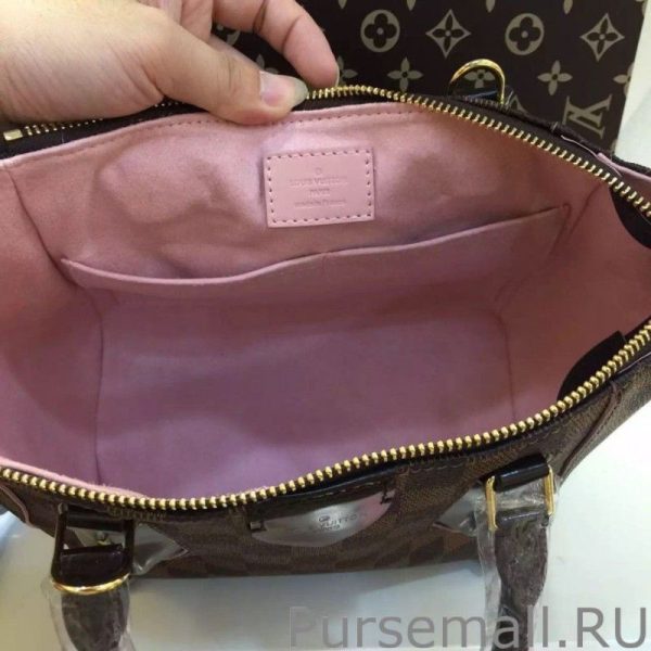 Ca?ssa Tote PM Damier Ebene Canvas N41554 - Image 8