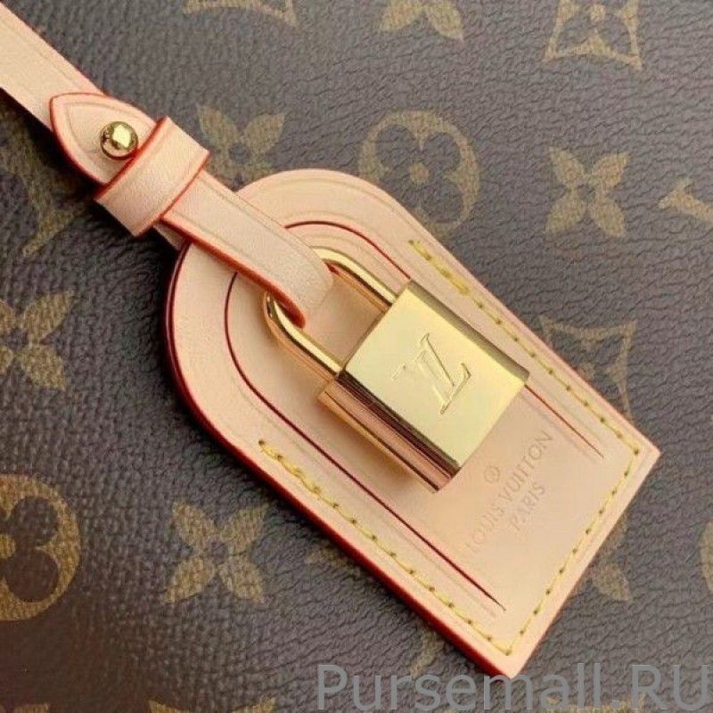 Petit Palais Bag Monogram Canvas M45900 - Image 8