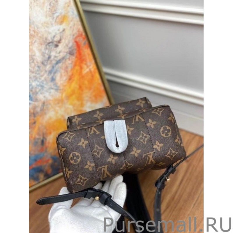Palm Springs PM Backpack Monogram Canvas M44871 - Image 9